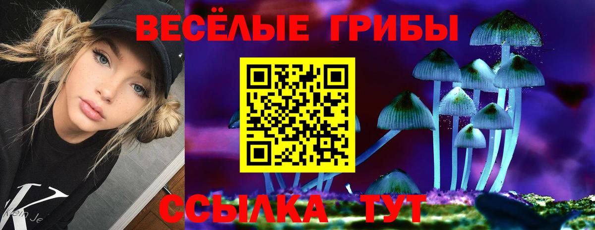 Соль-Илецк  Псилоцибиновые грибы Cubensis  Галлюциногенные грибы мухоморы  Вход с VPN 